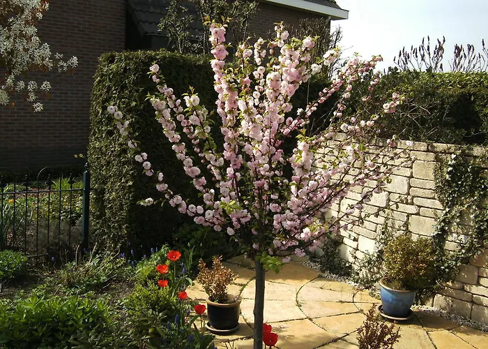 Bed & Breakfast Fam. Elzinga