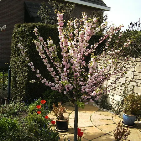 فندق مبيت وإفطار Fam. Elzinga