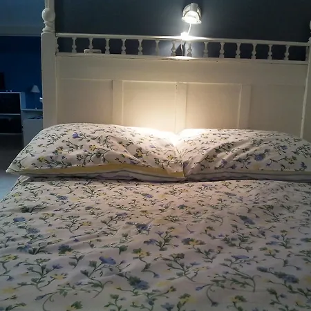 فندق مبيت وإفطار Fam. Elzinga *