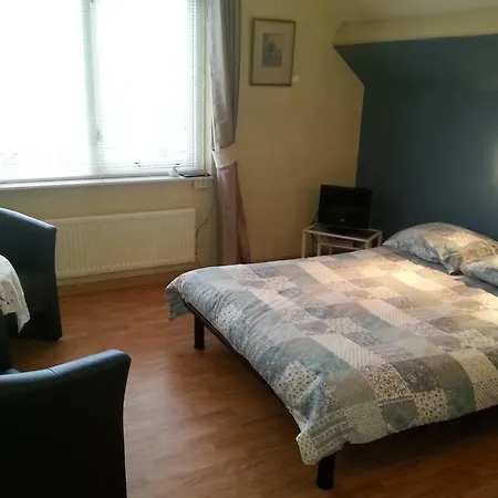 فندق مبيت وإفطار Fam. Elzinga *